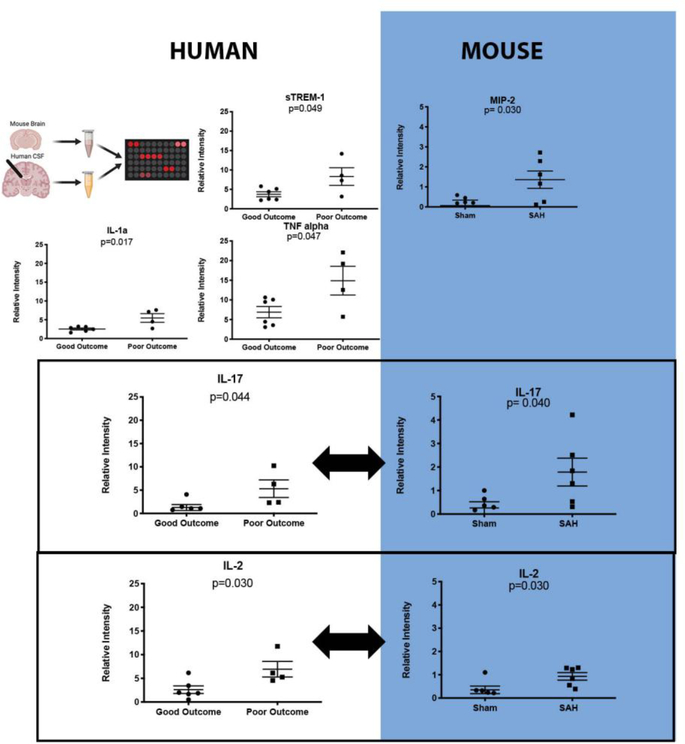 Figure 1: