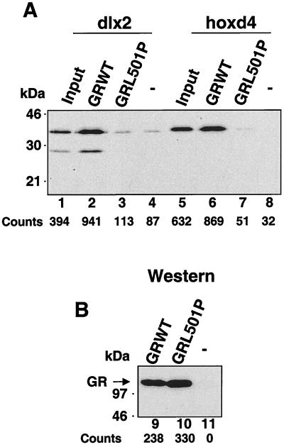 FIG. 5