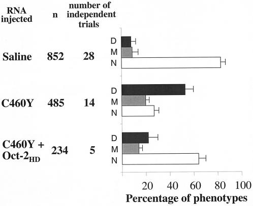 FIG. 12