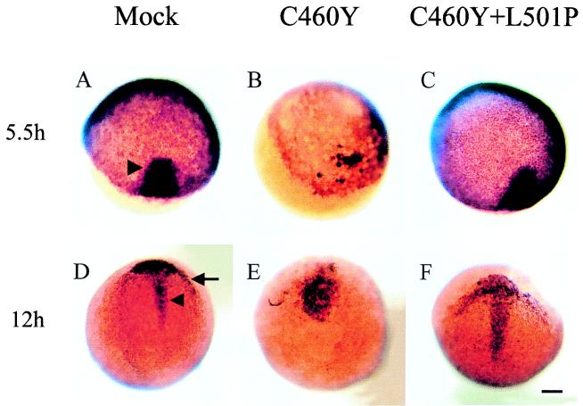 FIG. 10