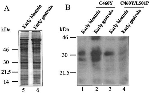 FIG. 13