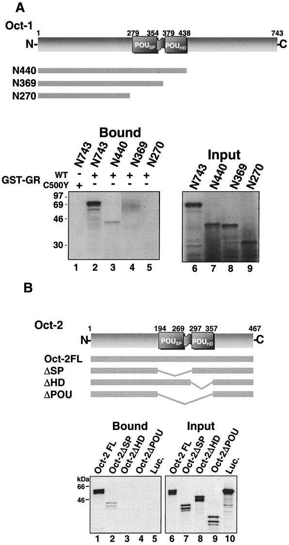 FIG. 1