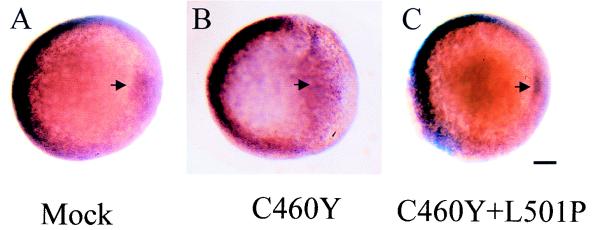 FIG. 11