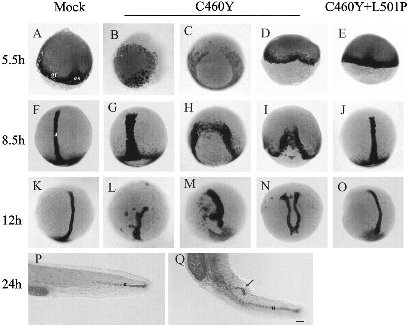 FIG. 8