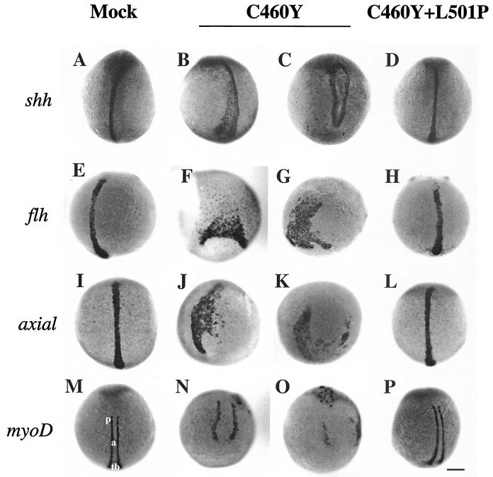 FIG. 9