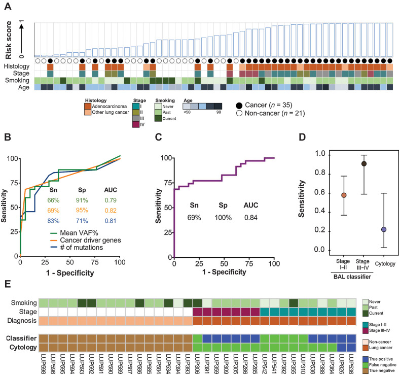 Figure 4. Derivation and performance of a BAL cfDNA genomic classifier for lung cancer diagnosis. A, BAL risk score based on 11 genomic features (Supplementary Table S9; Methods). Case–control status and relevant clinico-pathologic variables are indicated. NSCLC, non–small cell lung cancer. B, Individual performance of the top three features contributing to the BAL cfDNA classifier at the optimal cut point (Youden's value). Mean VAF% (green line), cancer driver genes (orange line), and number of mutations (blue line). C, Performance of the BAL cfDNA classifier using all 11 features at the optimal cut-off point (Supplementary Table S9). D, Sensitivity of the BAL genomic classifier and BAL cytology at a specificity of 100% for diagnosing lung cancer stratified by stage. Point estimates are represented by a circle and 95% confidence intervals by whiskers. Analysis based on 17 patients with cancer and 16 controls who had both cytology and BAL genomics scores available. E, Patient-level comparison of BAL cytology and BAL genomic classifier risk scores using a 100% specificity threshold. 17 patients with cancer and 16 non-cancer patients that had both cytology and a risk score assigned to them are arranged on the x-axis by stage and cancer status.