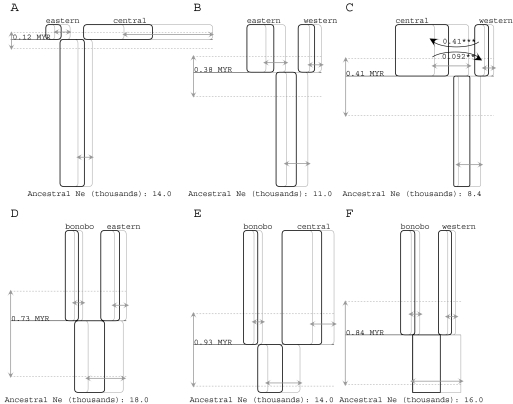 FIG. 2.