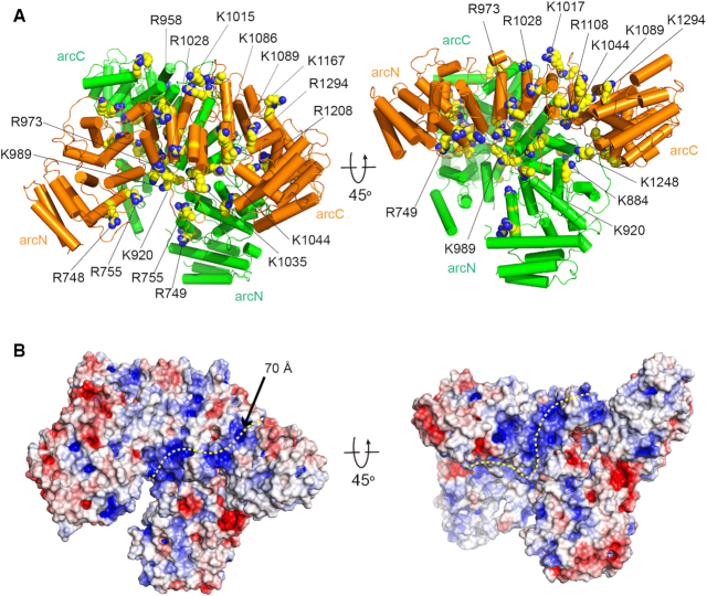 Figure 3.