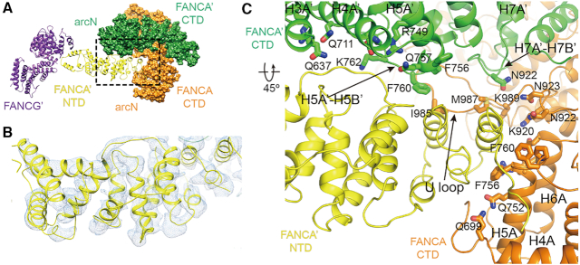 Figure 6.