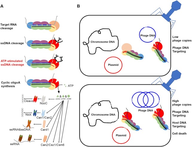 Figure 7.