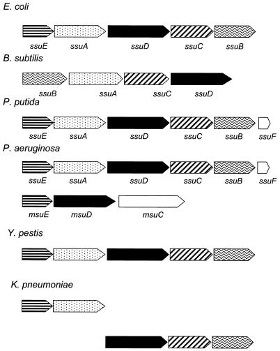 FIG. 6