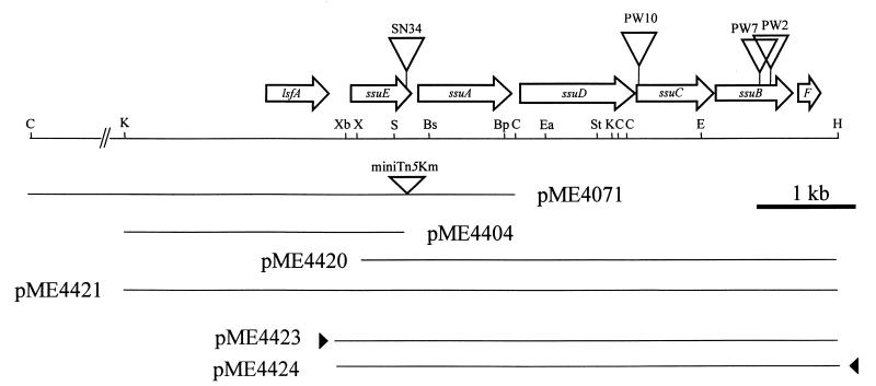 FIG. 1