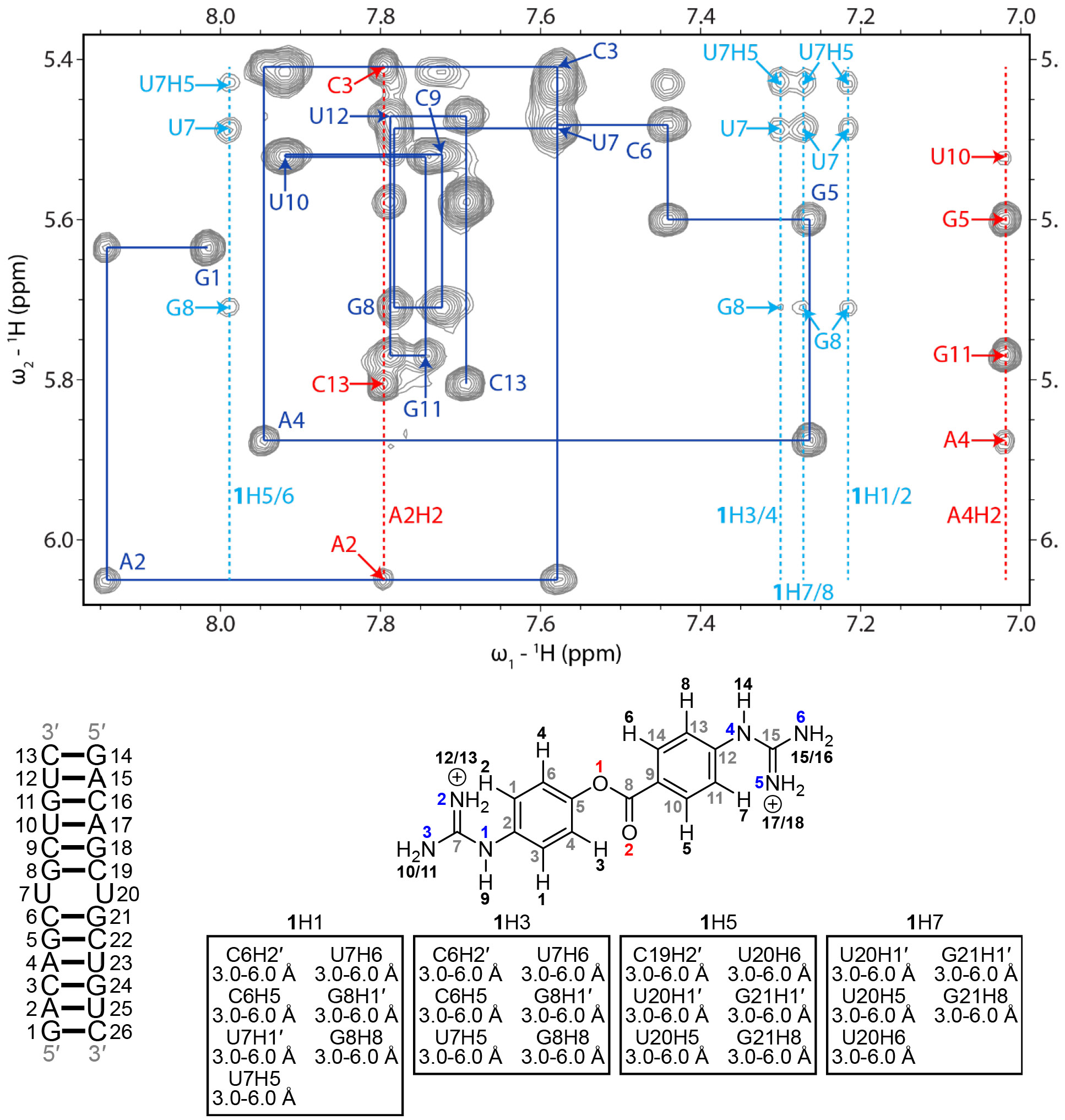 Figure 2: