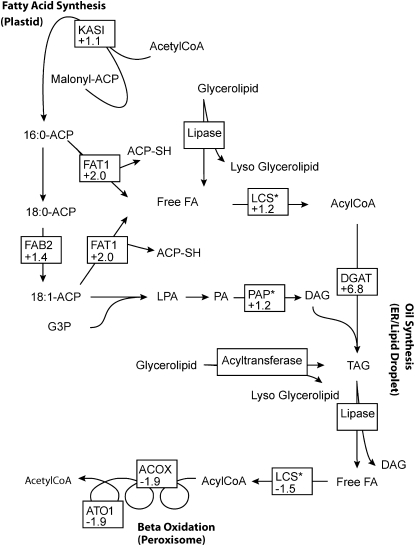 Figure 5.