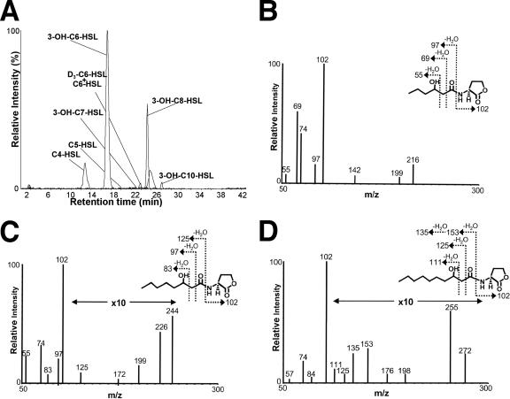 FIG. 2.