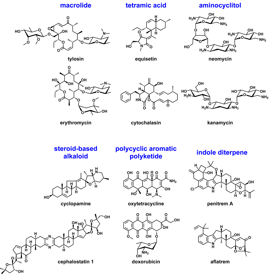 Figure 20