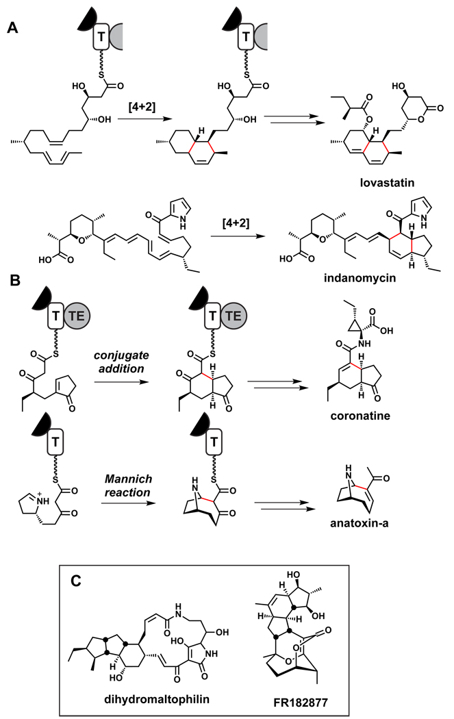 Figure 19