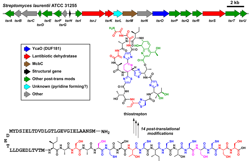 Figure 16