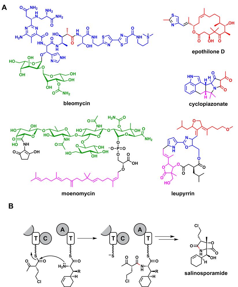 Figure 13