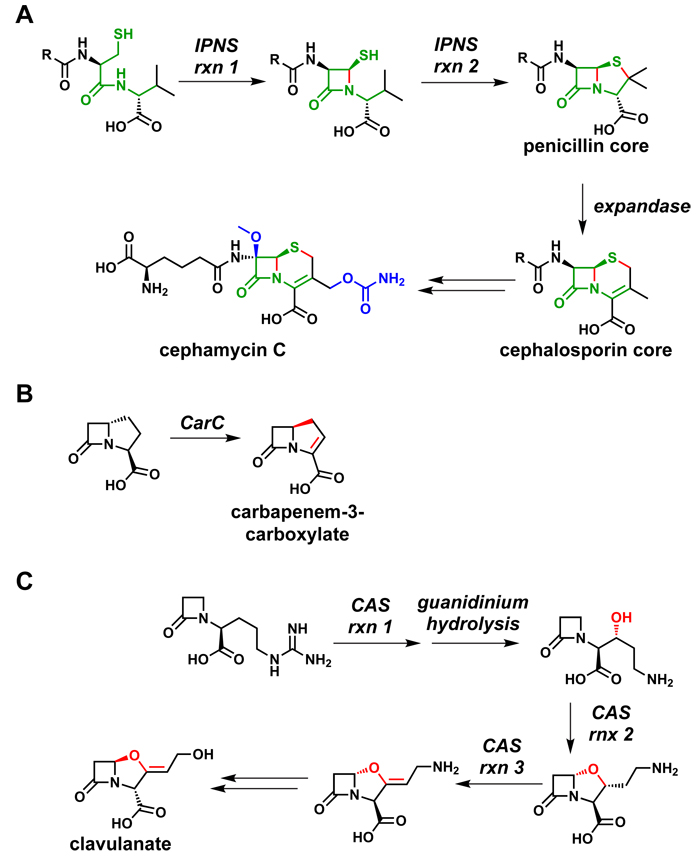 Figure 14