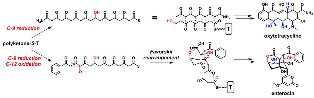 Figure 17