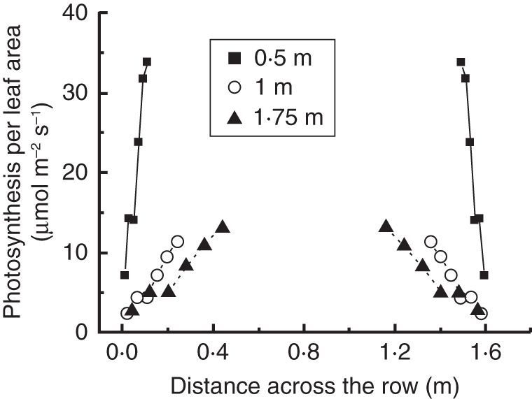 Fig. 8.