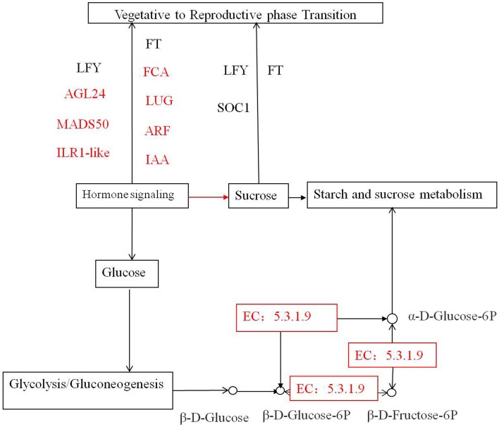 Figure 7