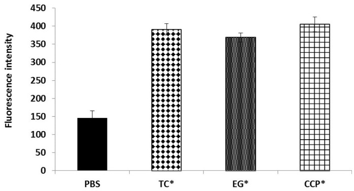 FIGURE 3