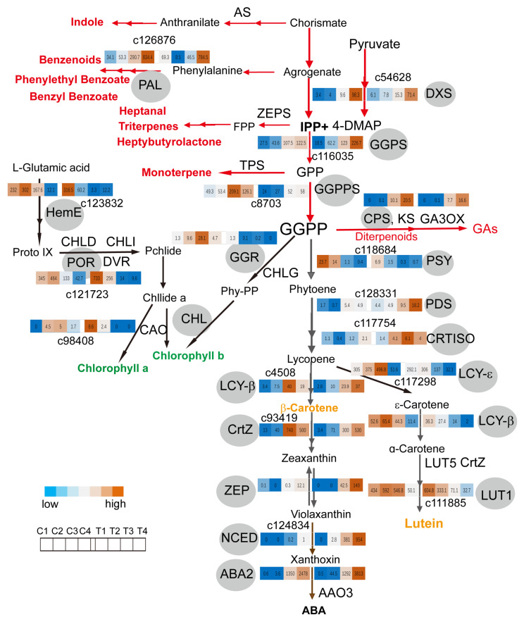 Figure 5