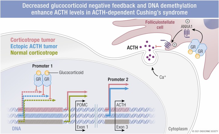 Graphical Abstract