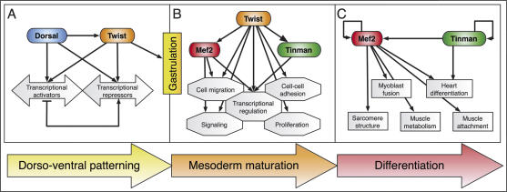 Figure 7.