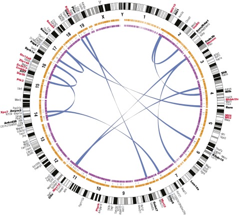 Fig. 3.