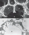 Figure 29