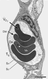 Figure 23