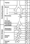 Figure 45