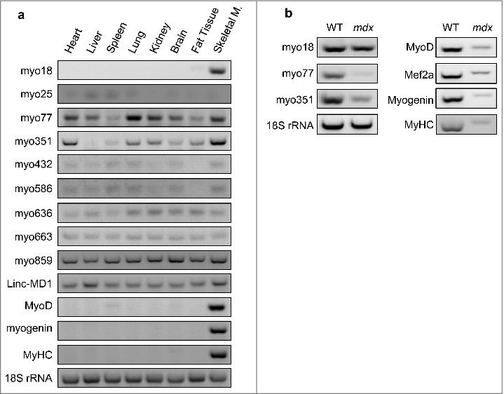 Figure 7.