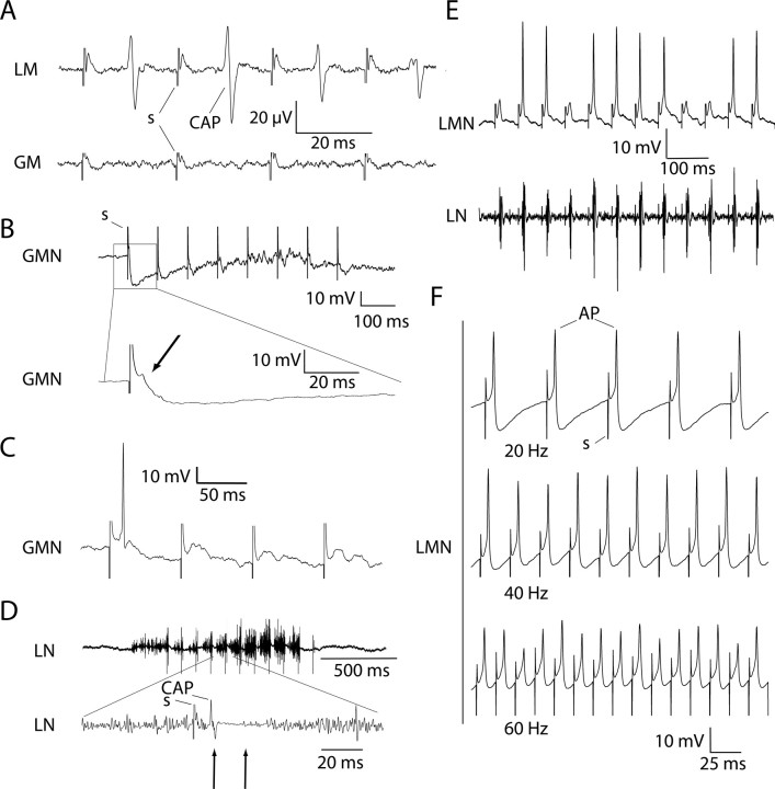 Figure 7.