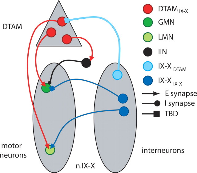 Figure 9.