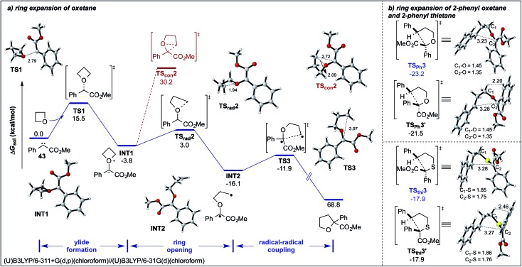 Scheme 4