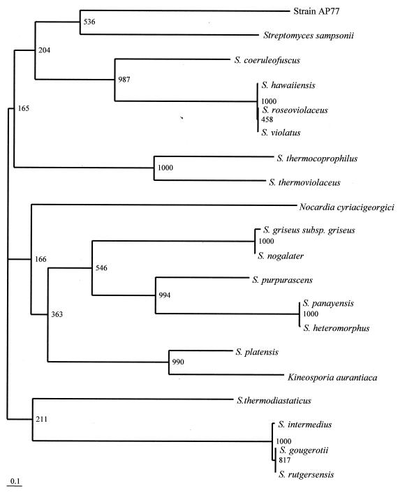 FIG. 2.