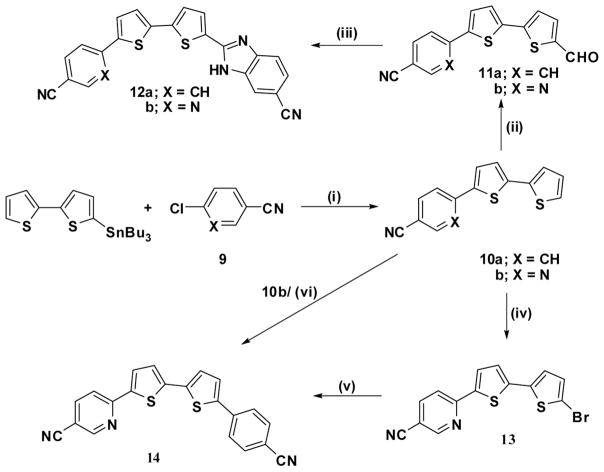 Scheme 3