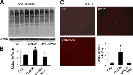 FIG. 8.