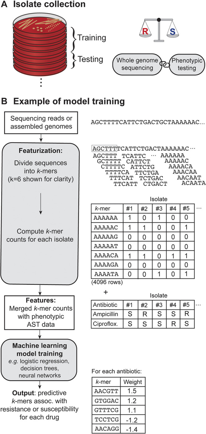 FIG 2