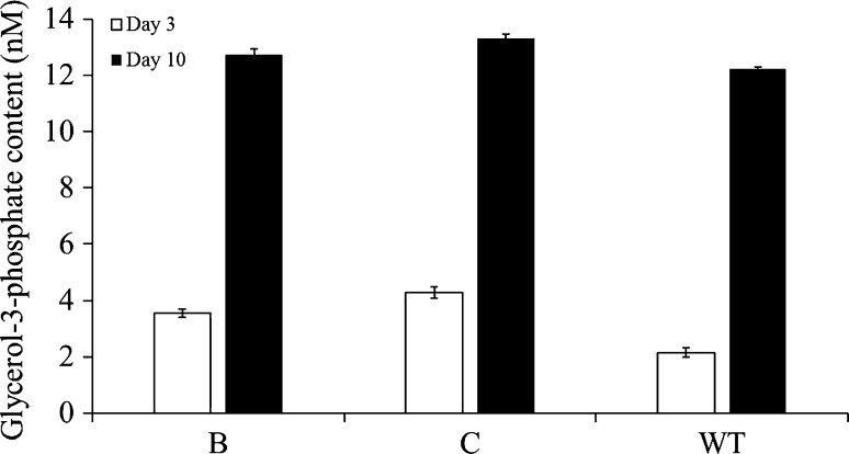 Fig. 5