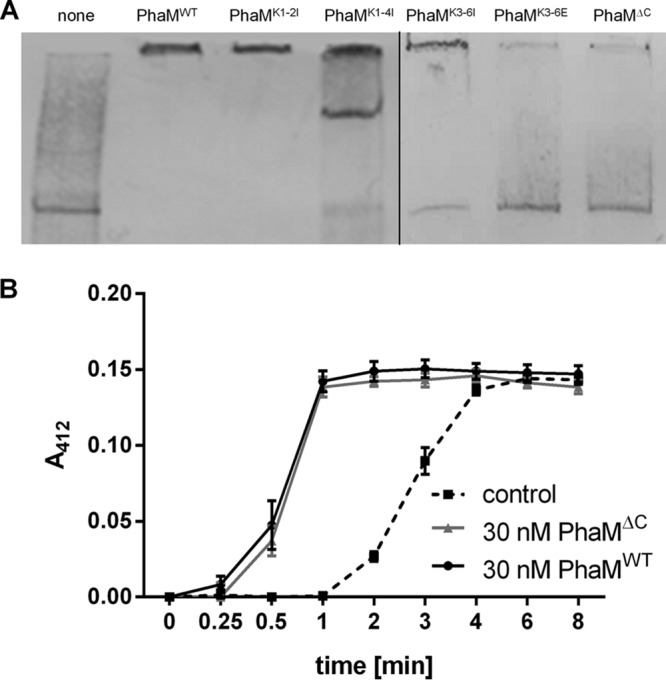 FIG 1