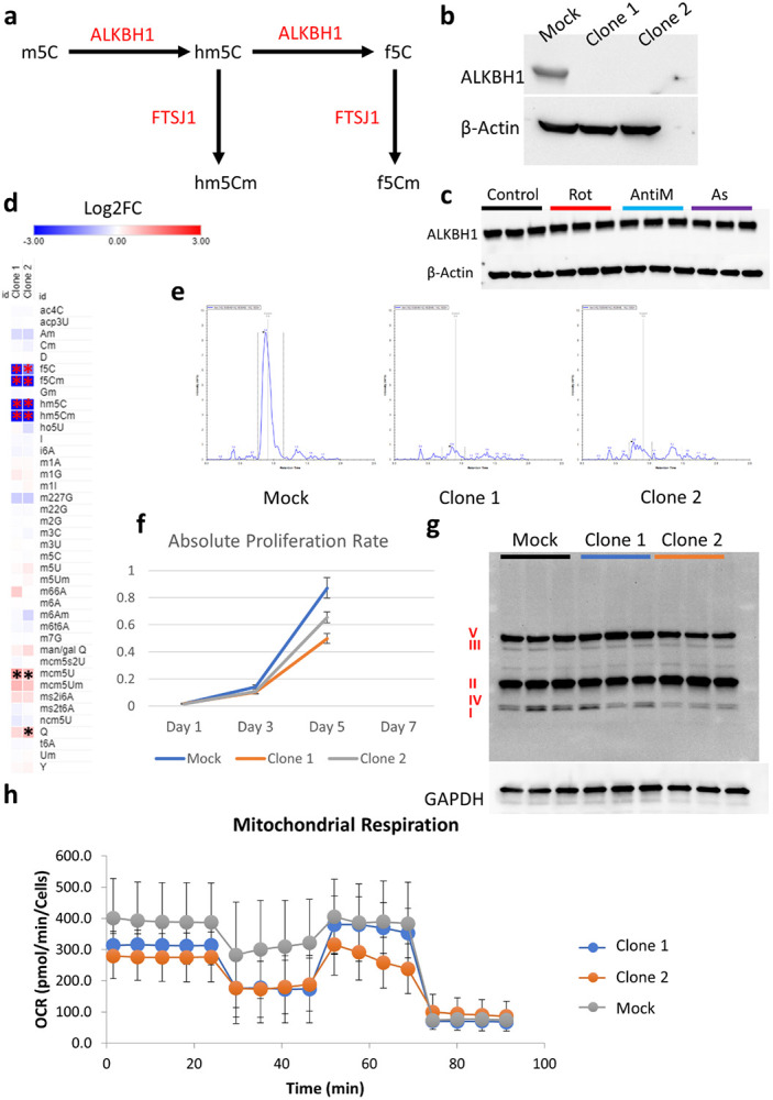 Figure 4: