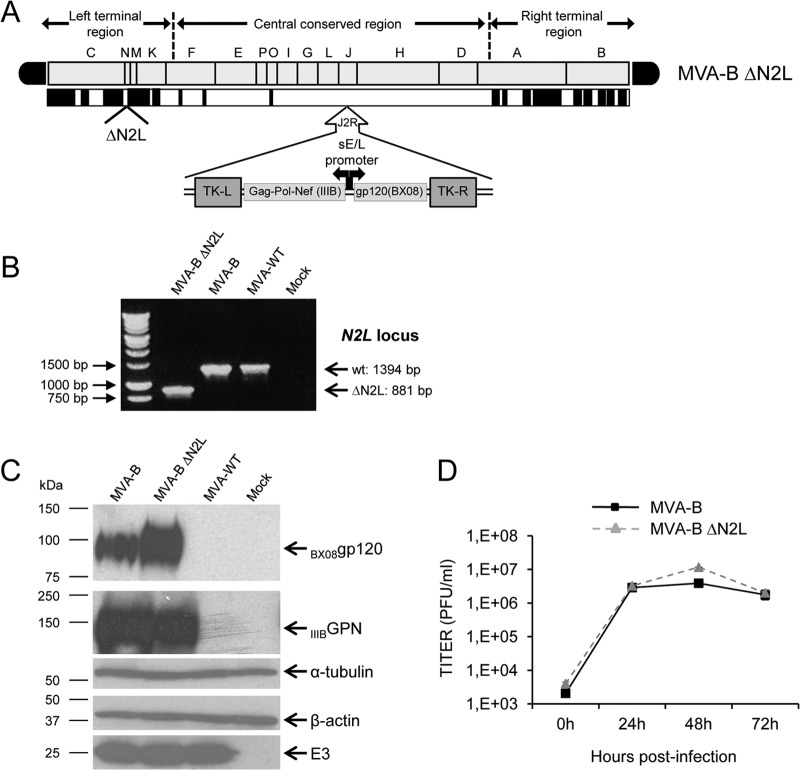 FIG 1