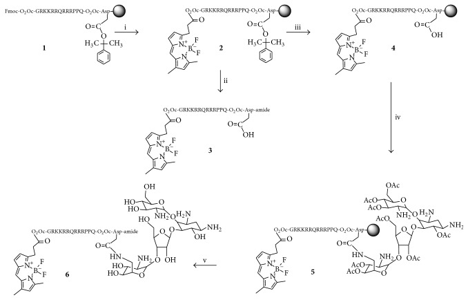 Scheme 1