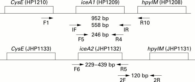 Figure 1  