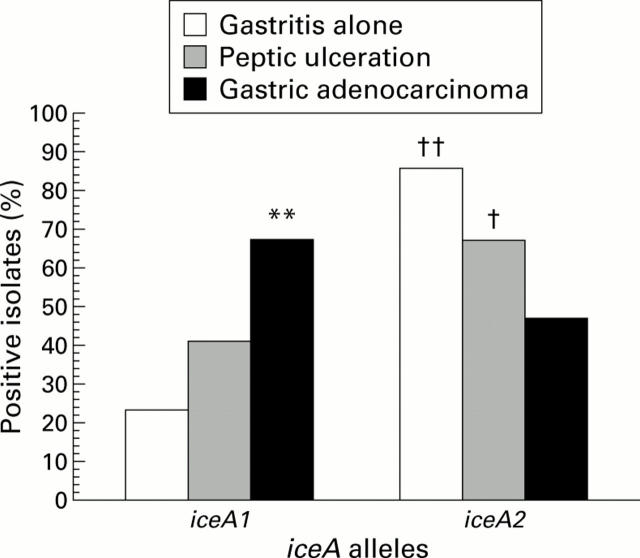 Figure 6  